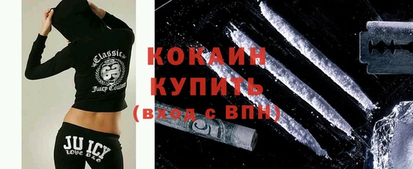 ГАЛЛЮЦИНОГЕННЫЕ ГРИБЫ Богданович