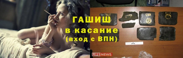 spice Богородск