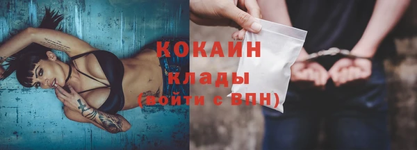 ГАЛЛЮЦИНОГЕННЫЕ ГРИБЫ Богданович