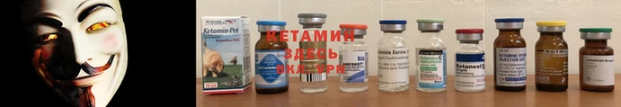 ГАЛЛЮЦИНОГЕННЫЕ ГРИБЫ Богданович