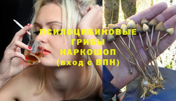 MDMA Богородицк
