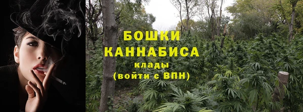 крисы Бородино