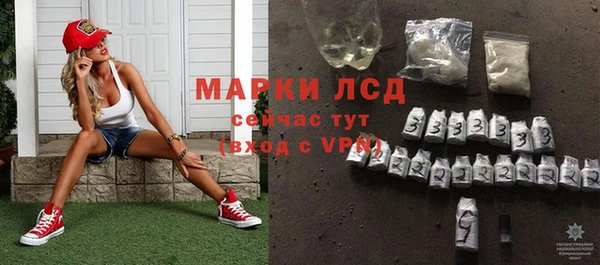spice Богородск