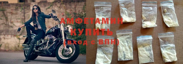 ГАЛЛЮЦИНОГЕННЫЕ ГРИБЫ Богданович