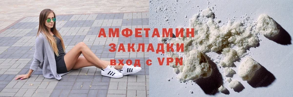ГАЛЛЮЦИНОГЕННЫЕ ГРИБЫ Богданович